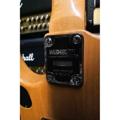Washburn N2 image 6