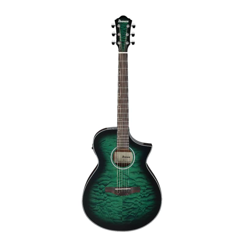 Ibanez AEWC16QA image 1