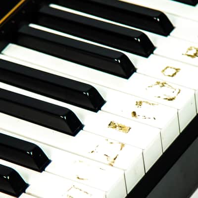 Casio CDP-130 Owned by Travis Barker image 7