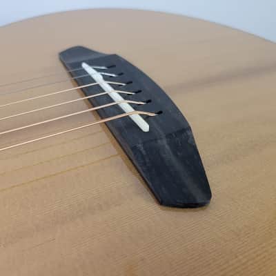 Breedlove Premier Companion E Brazilian LTD USA made With OHSC Free Shipping image 14