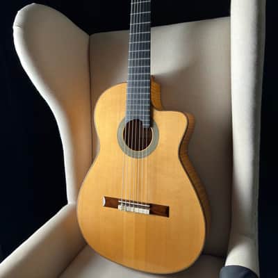 Kenny Hill 7 String Classical Cutaway Crossover Seven String image 21