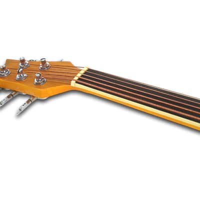 Fretless 5 String Acoustic Electric Bass image 6
