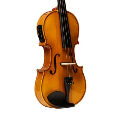 Stagg VN-4/4 ELEC EF Solid Spruce Top 4/4 Size Electric-Acoustic Violin w/Soft Case, Bow & Rosin image 4