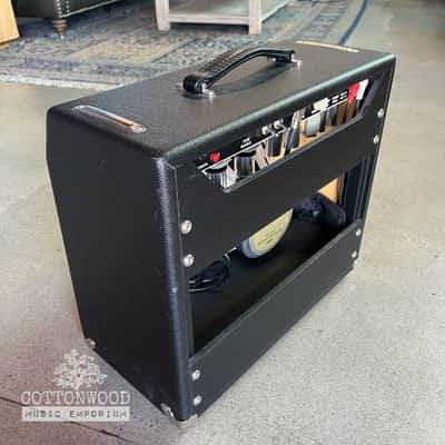 Vintage Sound Amps Vintage 15 1x12 Combo - Black/Silver with NOS Tubes & Premium Upgrades image 6