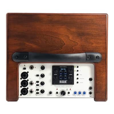 Elite Acoustics EAE D4-8 Rechargeable Acoustic Amp with 4 Channel Digital Mixer/LFP Battery - Wood image 3