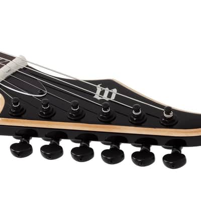 Wylde Audio Tortoise Shell Corridors Wrathmaker Guitar image 3