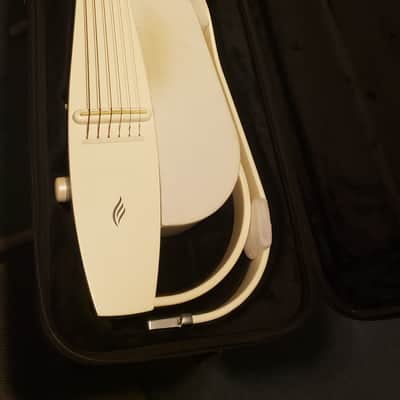 Enya NEXG 2022 - White - Built In Amp & Bluetooth Speaker (Charging Stand, Case, and Accessories) image 1
