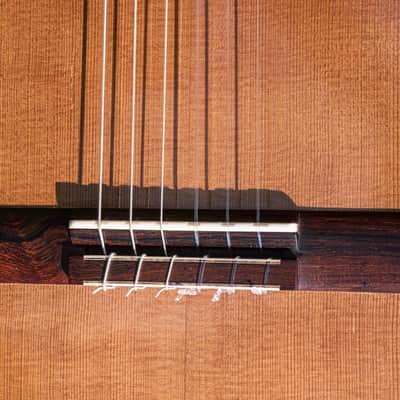 2016 Kris Barnett, Cedar Ziricote, Hybrid Fan Lattice Braced, Elevated Fingerboard , Soundport image 17