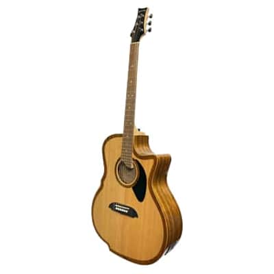 Riversong P2P-GA-Bari Baritone Guitar image 2
