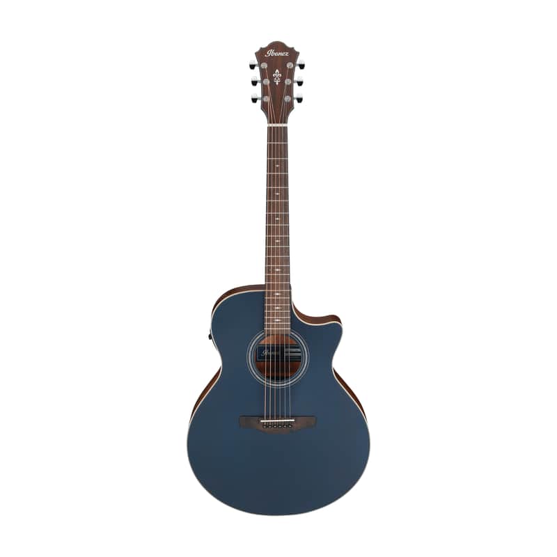 Ibanez AE100 image 2