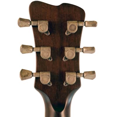 2009 James Trussart Steel DeVille - Rusty Gator Holy Back image 12