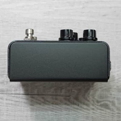 Strymon IRIDIUM image 3