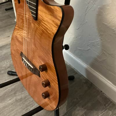 Cordoba Stage Nylon Acoustic image 5
