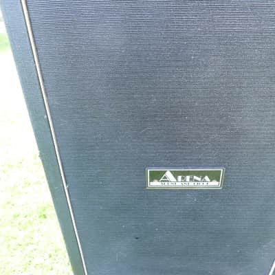 Arena Sound and Light Twin Speaker Cabinet Including Two 12" Speakers image 2
