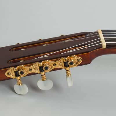 Del Pilar Classical Guitar (1990), hard shell case. image 16