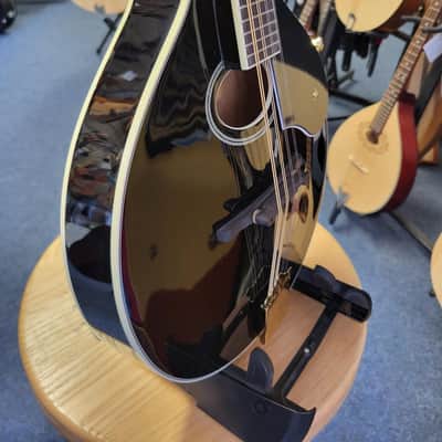 Washburn M1SD A Style Oval Hole Mandolin image 3