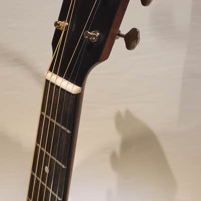 Eastman E1SS-SB 2023 image 11