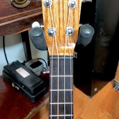 Turtle shell ukulele image 12