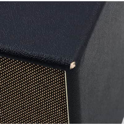 Friedman ASC-10 500W 1x10 Bi-Amp Powered Guitar Cabinet image 3