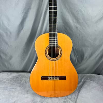 Hiroshi Tamura P-60 Guitar MIJ 1975 image 2