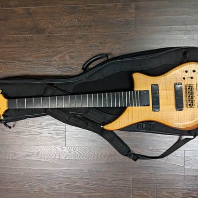 Alembic Epic 5 image 8