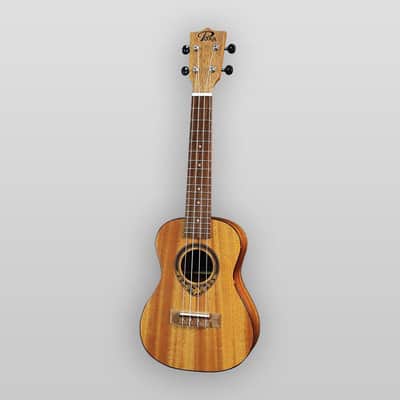 Puka Model PK-TFC Tropical Fish Rosette Natural Satin Finish Concert Ukulele image 5