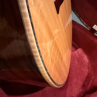 PRS Angelus Private Stock 2010 Steve Fischer image 17