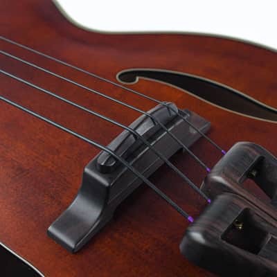 Takamine TB10 Recent image 7
