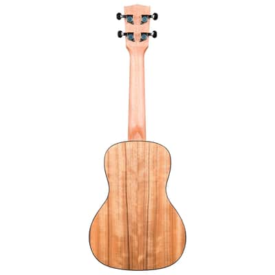 Pacific Walnut Concert Kala image 4