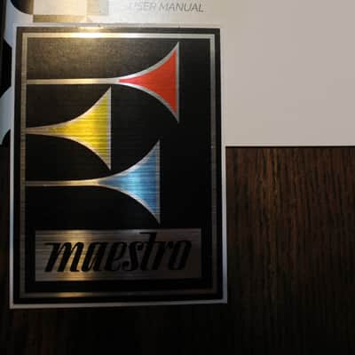 Maestro Discoverer Delay 2022 - Present - Black Graphic image 3