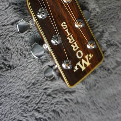 TF Morris W-50 - Natural Japan Acoustic image 11