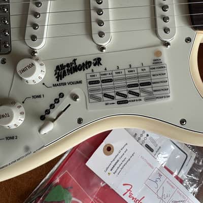 Fender Albert Hammond Jr Stratocaster 2022 image 9