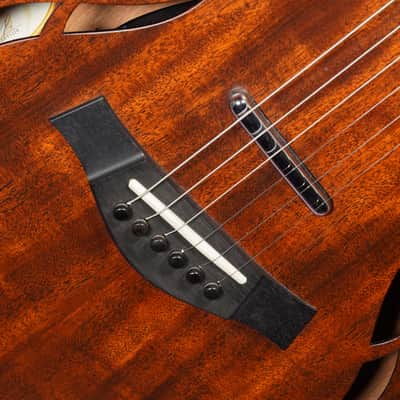 2014 Taylor T5z Classic Semihollow Acoustic/Electric Guitar (VIDEO! Fresh Work, Ready) image 6