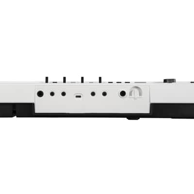 Korg Liano Live - Stage Piano image 3