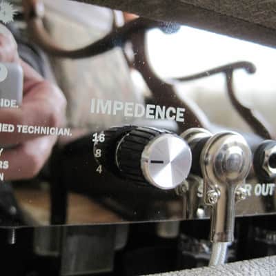 Luker Chameleon reverb 20 Tube Head image 6