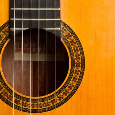 Del Pilar Classical Guitar (1980), black hard shell case. image 18