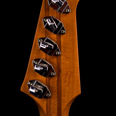 Gibson Firebird V "Guitar of the Week" Limited Edition 2007 Zebra Wood image 10