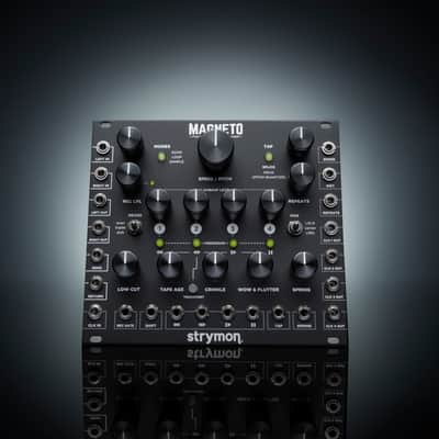 Strymon Magneto image 4