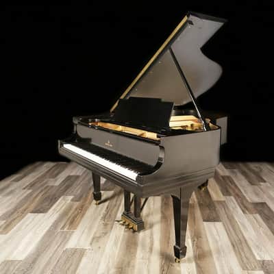 1919 Steinway Grand, Model M - Ebony image 1