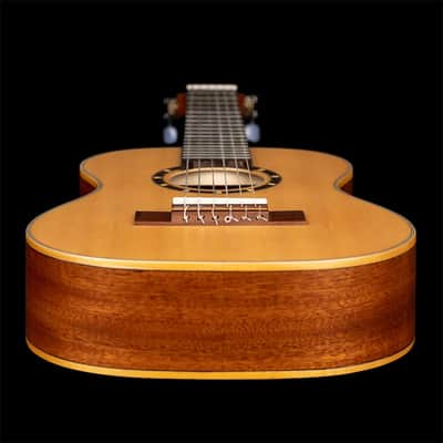 Ortega Family Series 7/8 Size Nylon Classical Guitar w/ Bag image 10