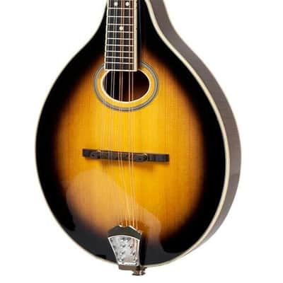 Gold Tone GM-50+/L A-Style Solid Spruce Top Maple Neck 8-String Mandolin w/Hard Case & Pickup For Left Hand Players image 1