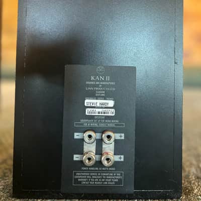 Linn Kan II (MK2) Monitors - Exceptional Condition - Vintage British Legends image 3