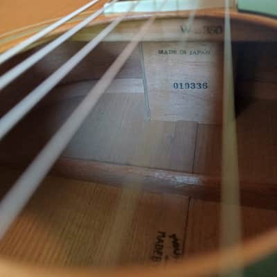 Mountain W-350 70s Very Rare! Japan Gibson Country Western style Amazing tiger strike back, Japan vintage case image 21