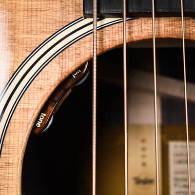 Taylor Gold Label 714e w/ Sitka Spruce Top & Indian Rosewood Back and Sides Acoustic-Electric Guitar 2025 (1208185037) image 6