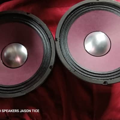HARTKE 10" SPEAKERS HEMPOPOTAMUS HYBRIDS G5 CONES 2 AVAILABLE TONALITY SAVAGES image 4