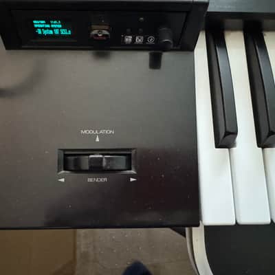 Roland W-30 12 bit Vintage Sampling Workstation + SCSI + Gotek image 8