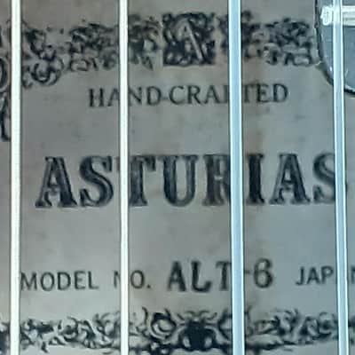 ASTURIAS Alto Guitar ALT-6 Quality Craftsmanship image 6