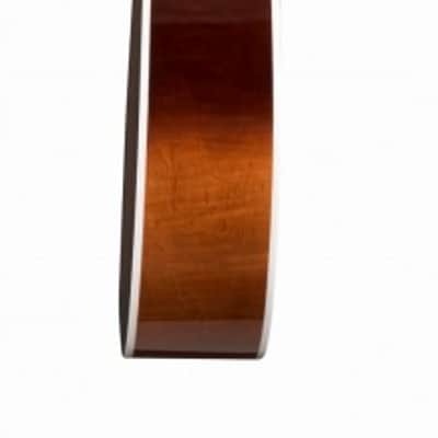 Seagull Performer Concert Hall Acoustic-Electric Guitar image 3