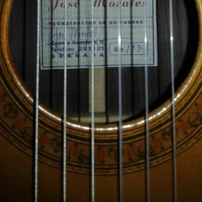 Jose Morales classical guitar image 2