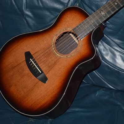 Breedlove Premier Companion Edgeburst CE 2024 - Edgeburst image 1